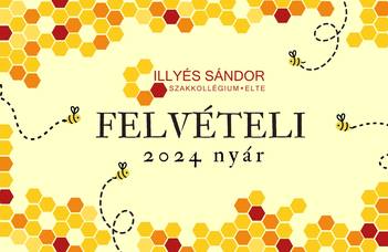 Felvételi